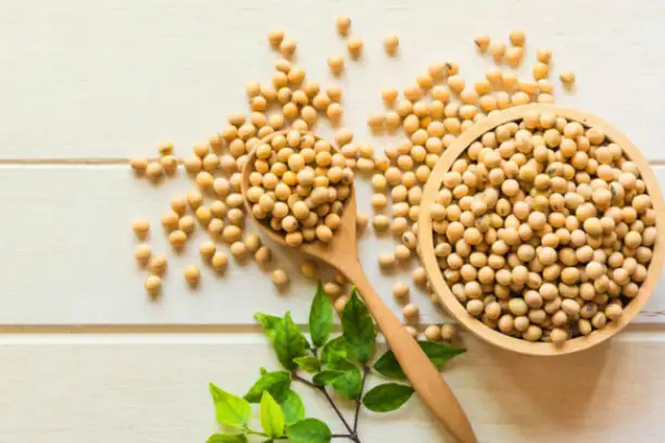 Is soy peptide good for you?